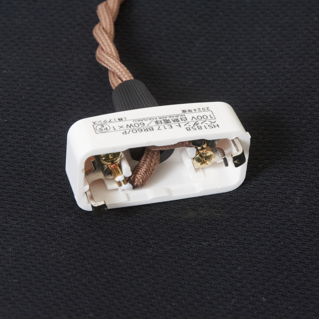 西欧アンティーク ガラスシェード ペンダントライト