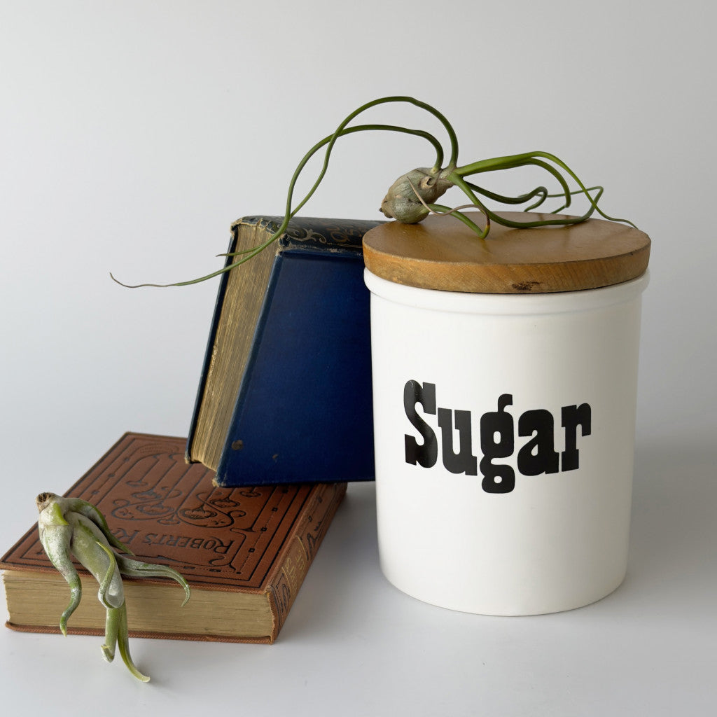 ヴィンテージ キャニスター "Sugar"
