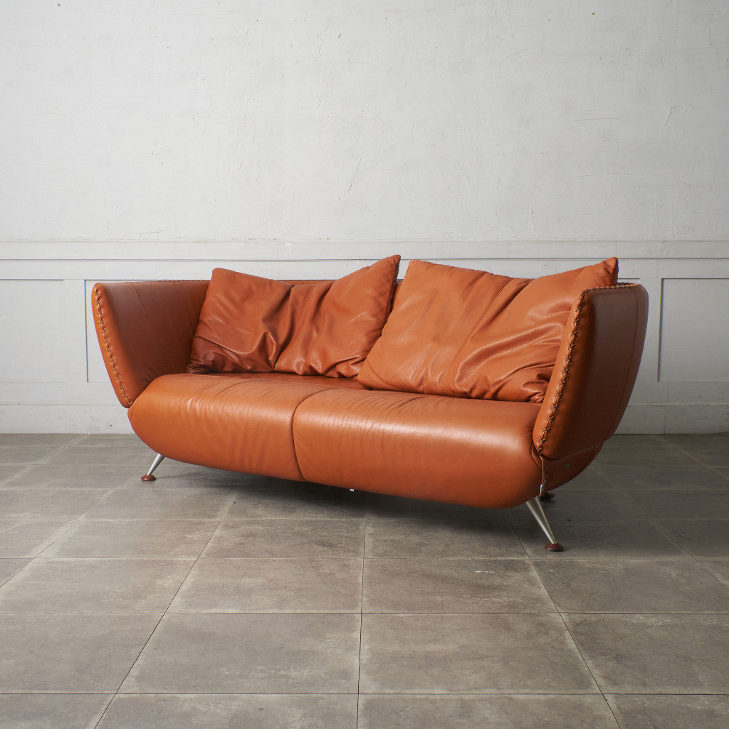 カウチソファ 総本革張り DS-102｜デセデ de Sede｜マティアス