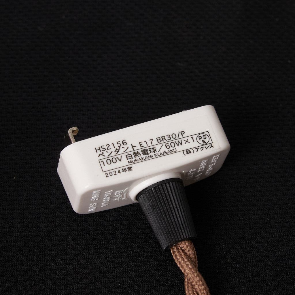 西欧アンティーク ガラスシェード ペンダントライト