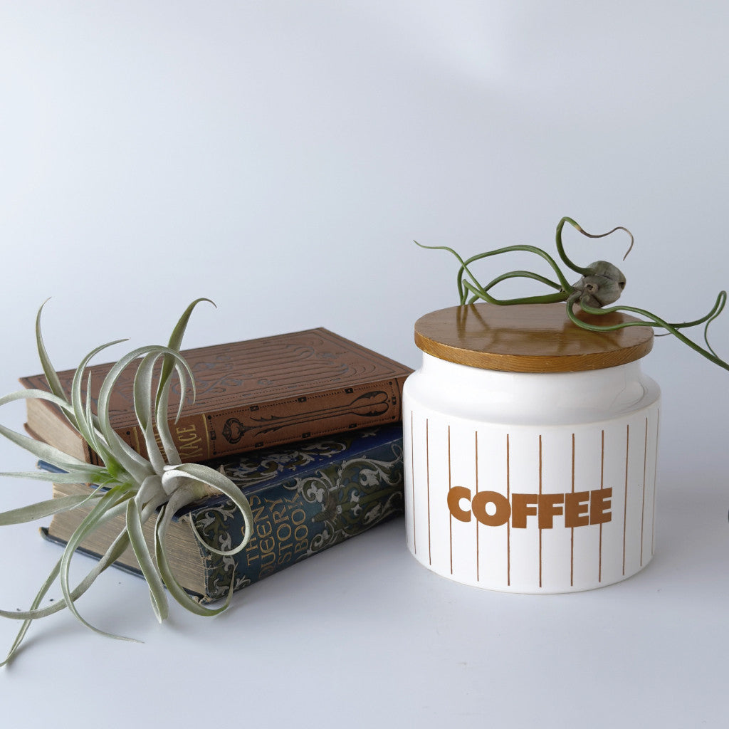 STRIPE ストライプ キャニスター "COFFEE"