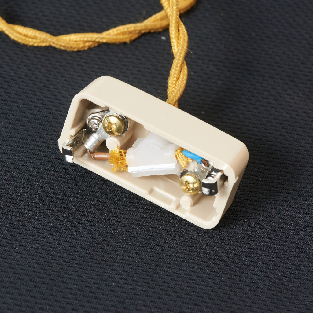 西欧アンティーク ガラスシェード ペンダントライト