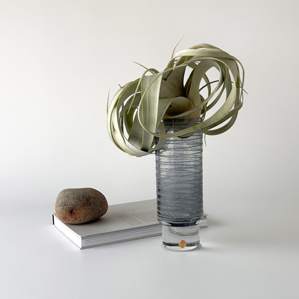 Particle パーティクル フラワーベース