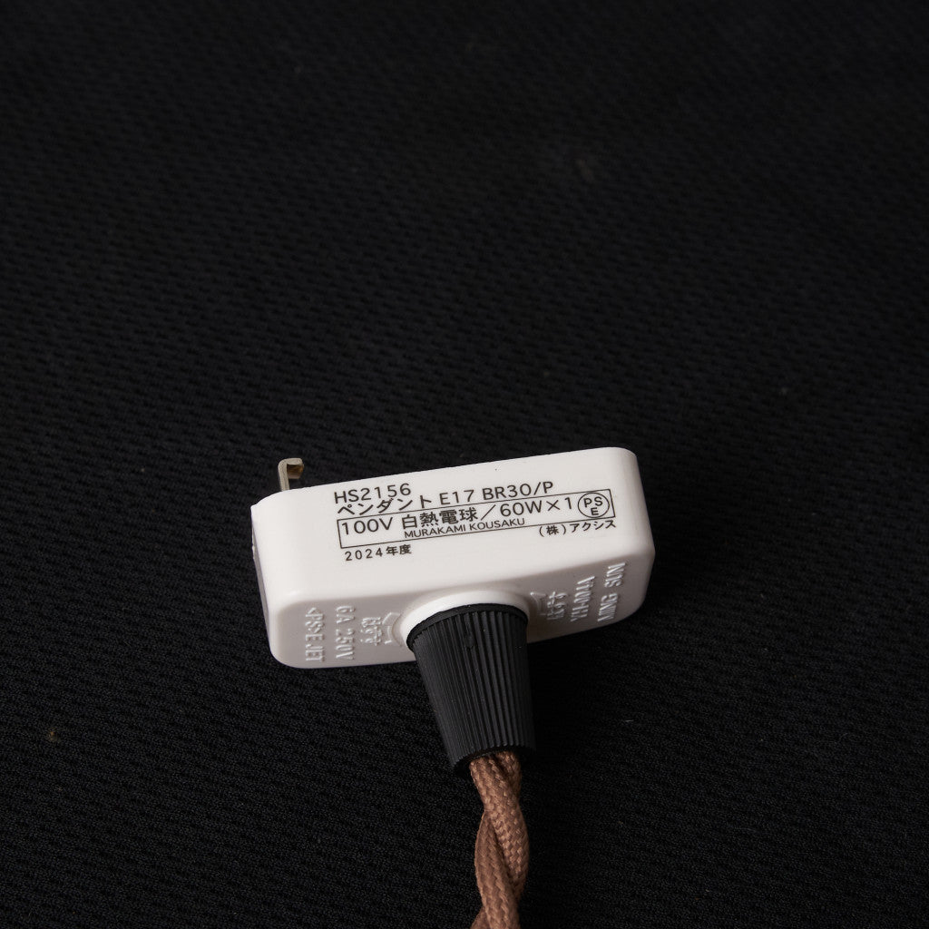 西欧アンティーク ガラスシェード ペンダントライト