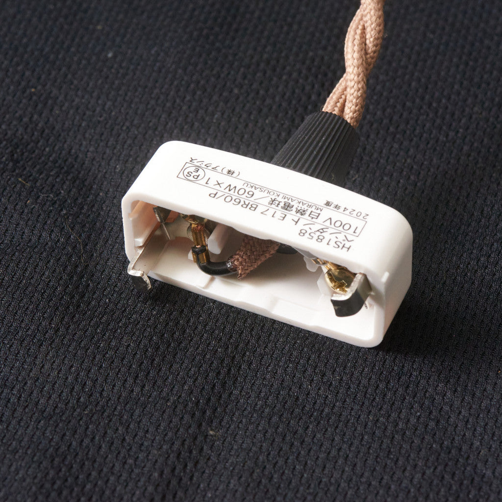 西欧アンティーク ガラスシェード ペンダントライト