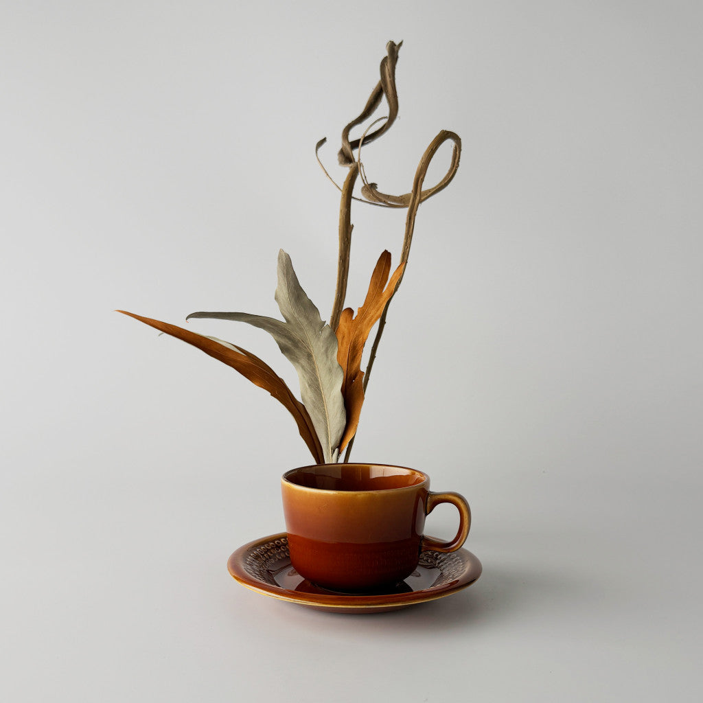 BIRBICAN バービカン カップ&ソーサー