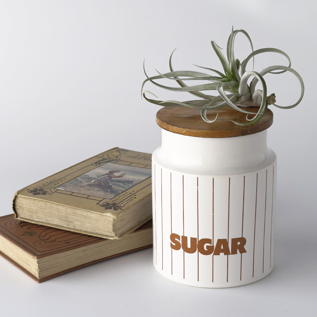 STRIPE ストライプ キャニスター "SUGAR"