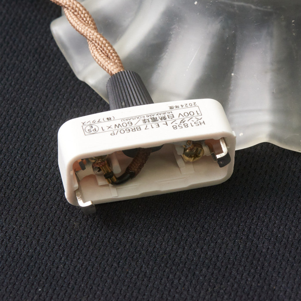 西欧アンティーク ガラスシェード ペンダントライト