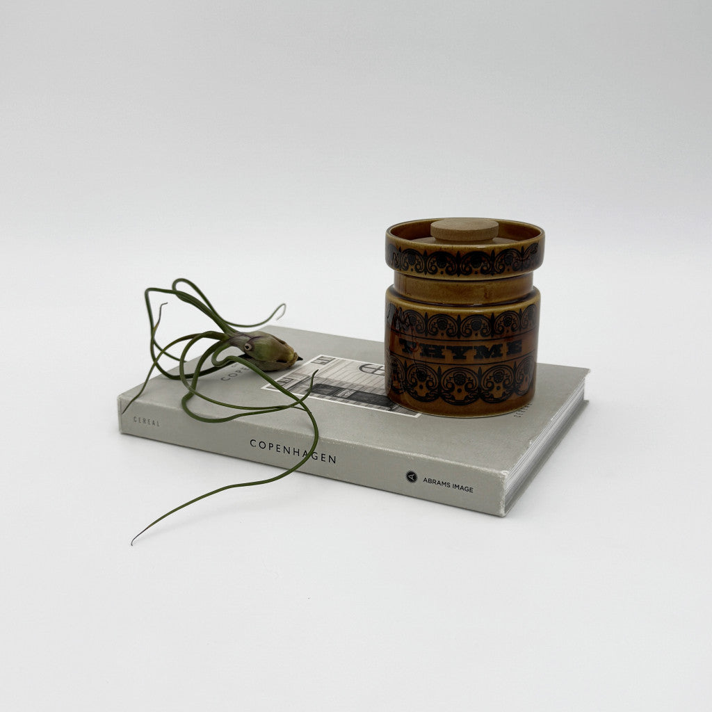 Scroll スクロール スパイスポット / キャニスター