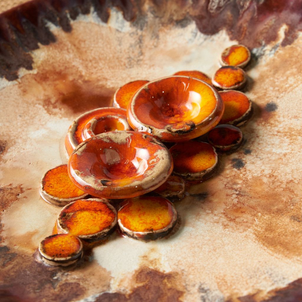 Fat lava マッシュルームプレート|ルシャ Ruscha