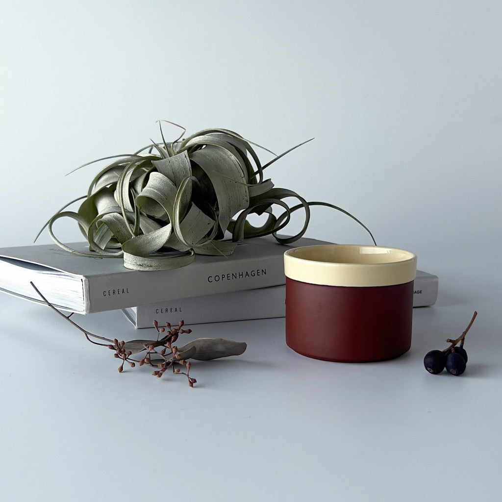 CINNAMON シナモン シュガーボウル