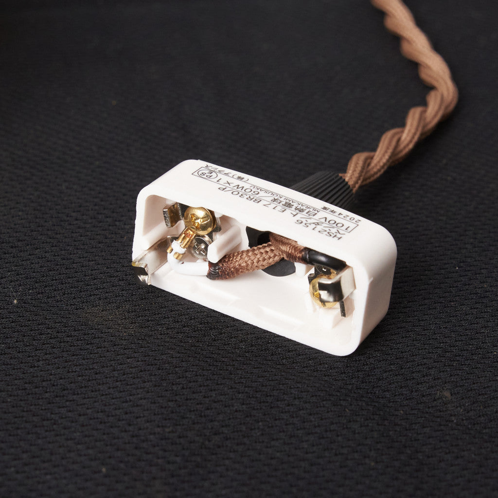 西欧アンティーク ガラスシェード ペンダントライト