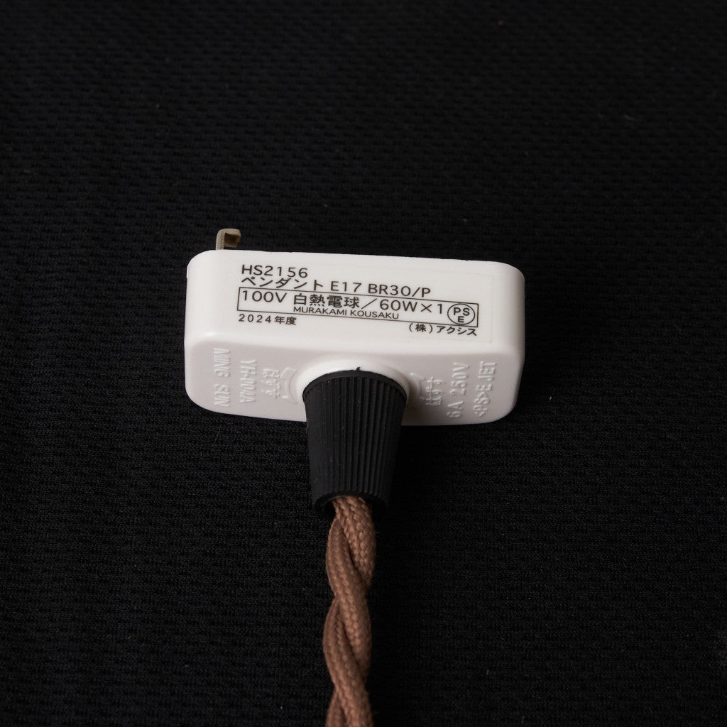 西欧アンティーク ガラスシェード ペンダントライト