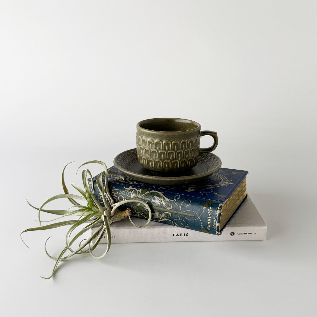 Pennine ペンニン カップ&ソーサー カンブリアグリーン