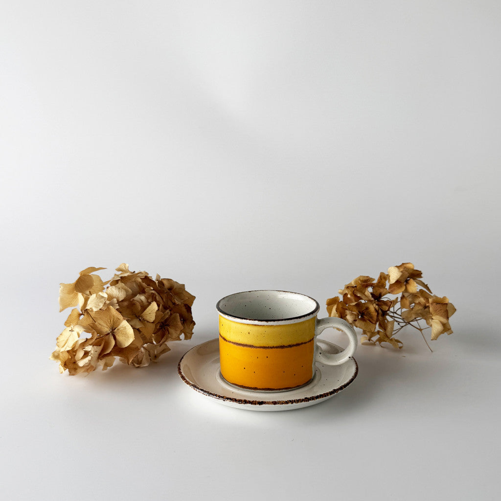 SUN サン カップ&ソーサー