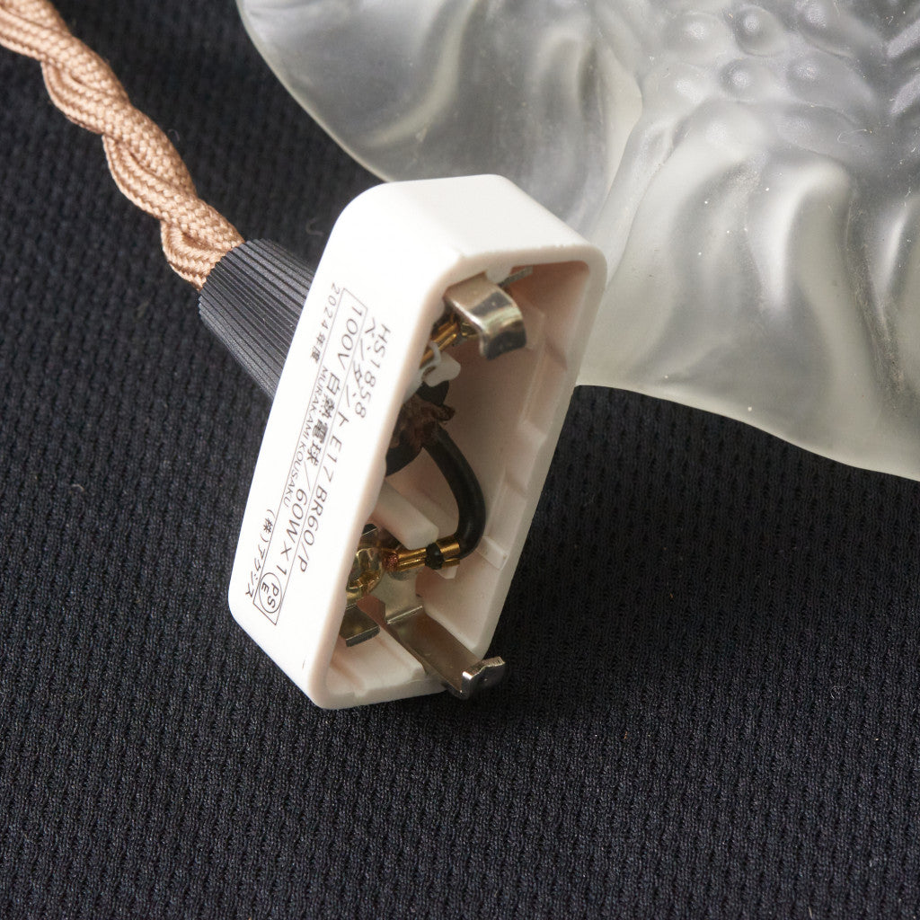 西欧アンティーク ガラスシェード ペンダントライト