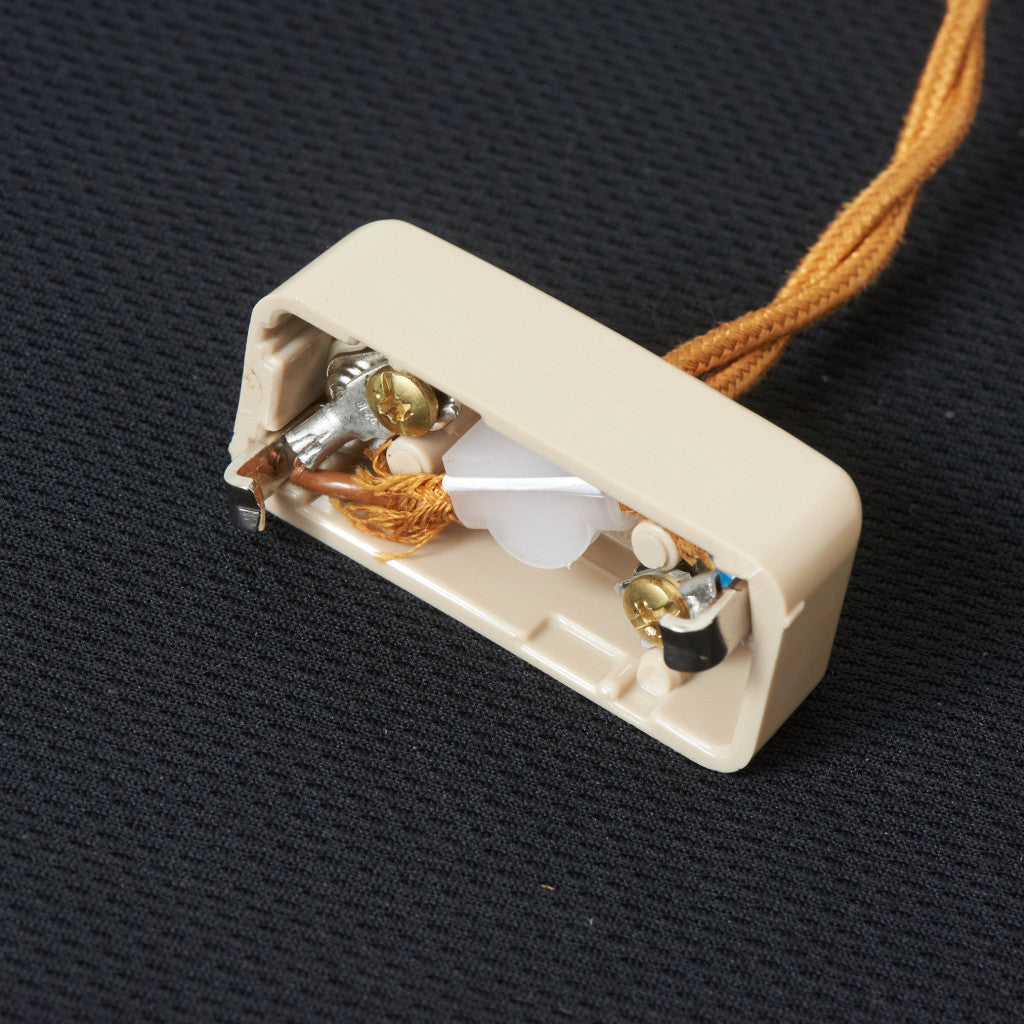 西欧アンティーク ガラスシェード ペンダントライト