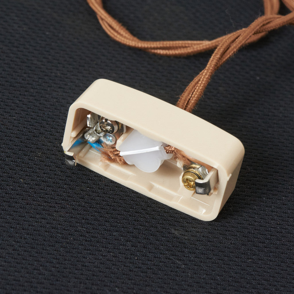 西欧アンティーク ガラスシェード ペンダントライト