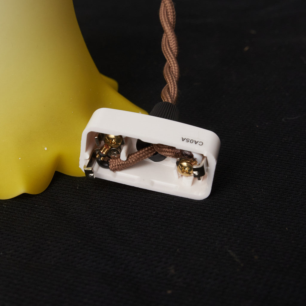 西欧アンティーク ガラスシェード ペンダントライト