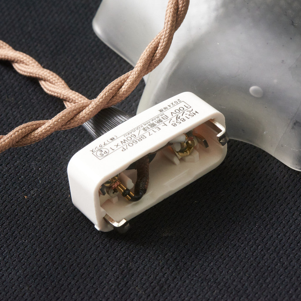 西欧アンティーク ガラスシェード ペンダントライト