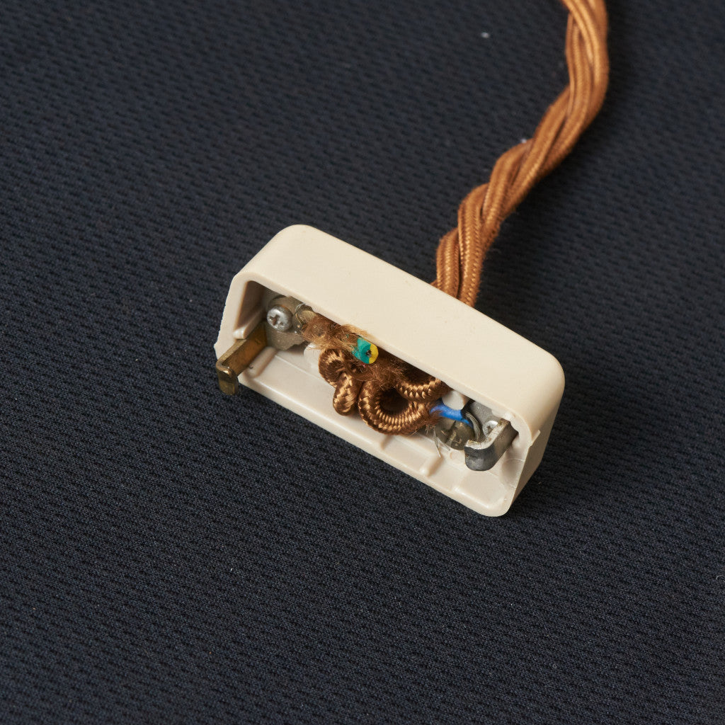 西欧アンティーク ガラスシェード ペンダントライト