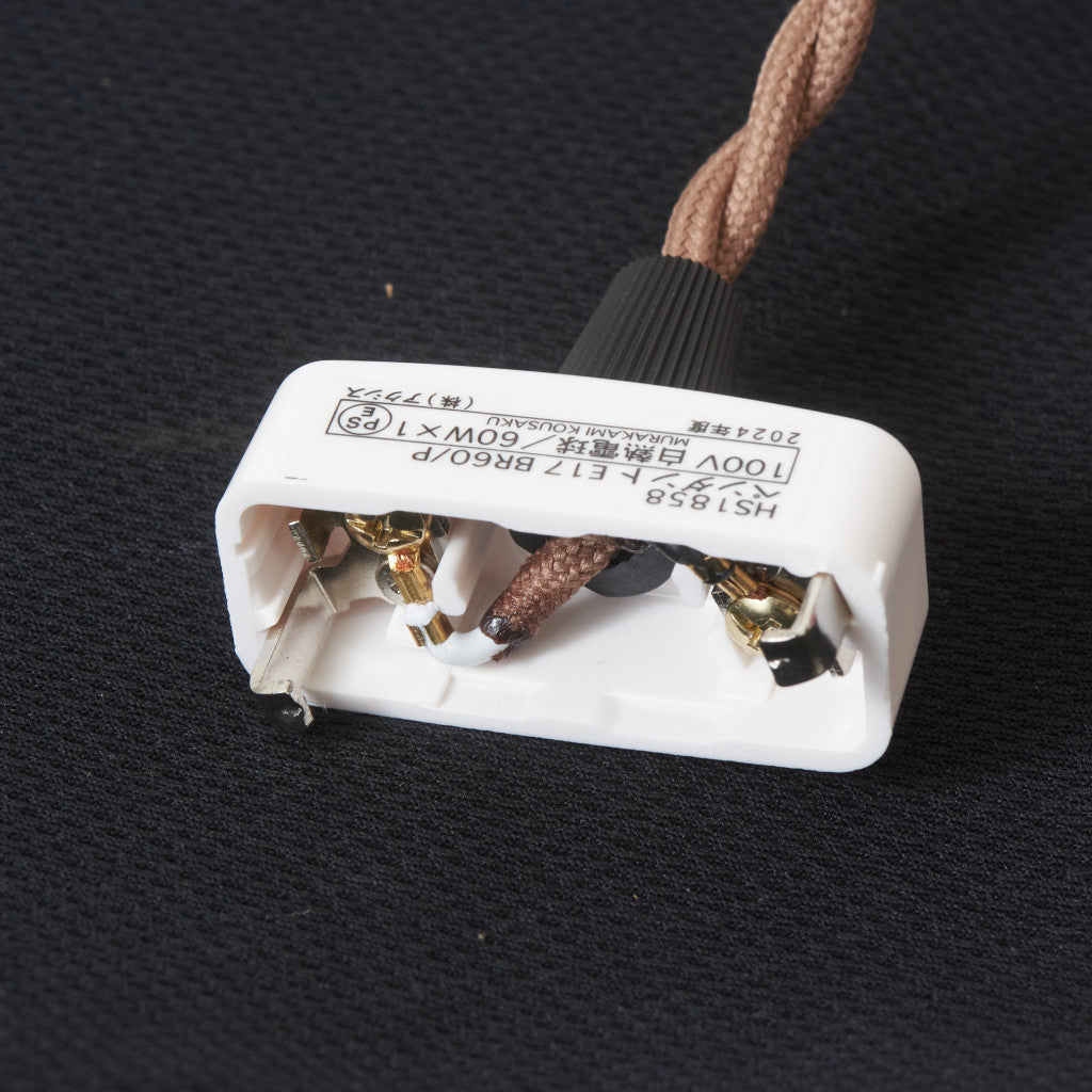 西欧アンティーク ガラスシェード ペンダントライト