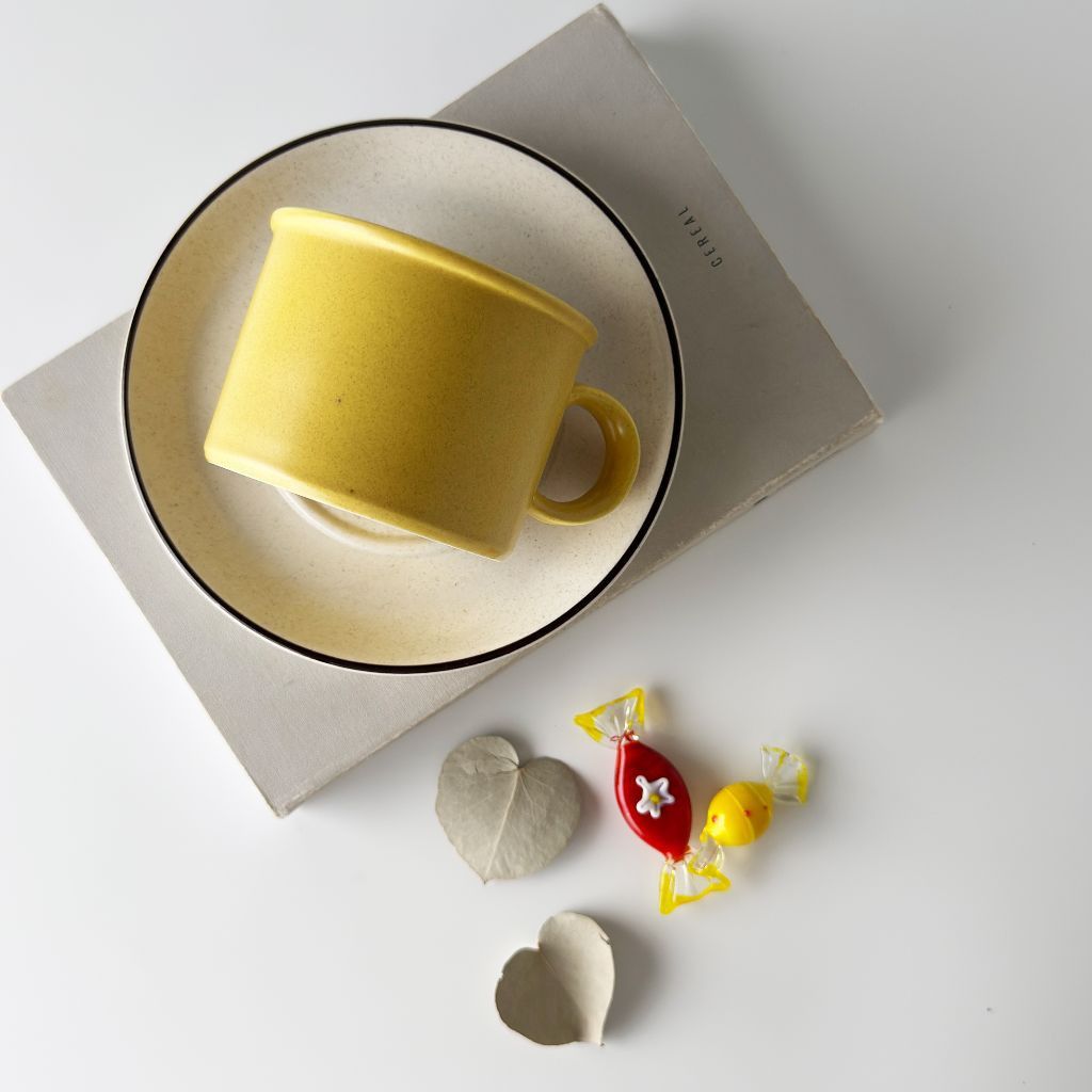 Stonehenge ストーンヘンジ カップ＆ソーサー