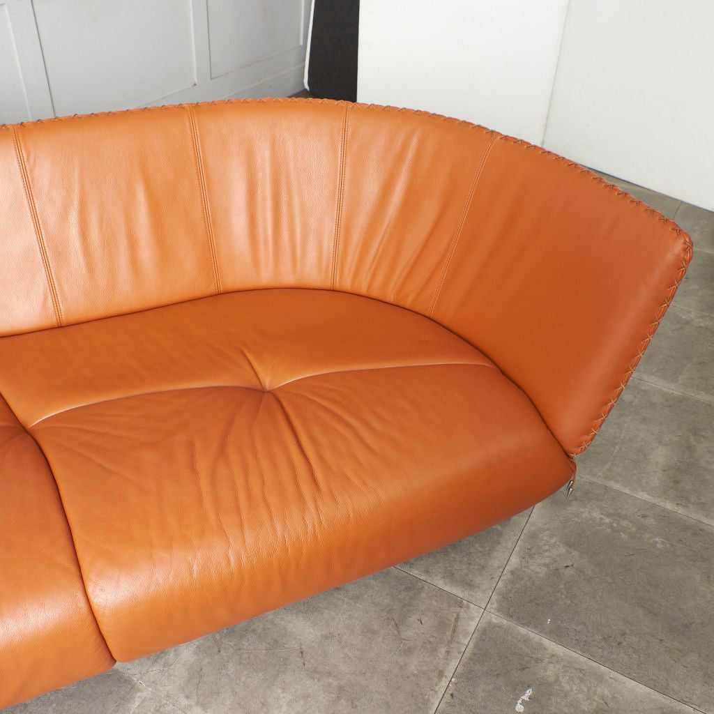 カウチソファ 総本革張り DS-102｜デセデ de Sede｜マティアス