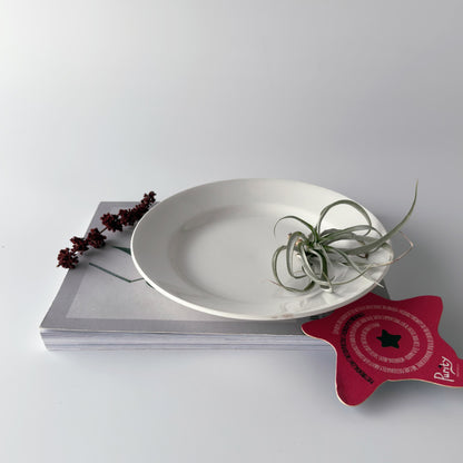 アンティーク プレート