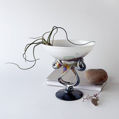 ジェリーフィッシュボウル