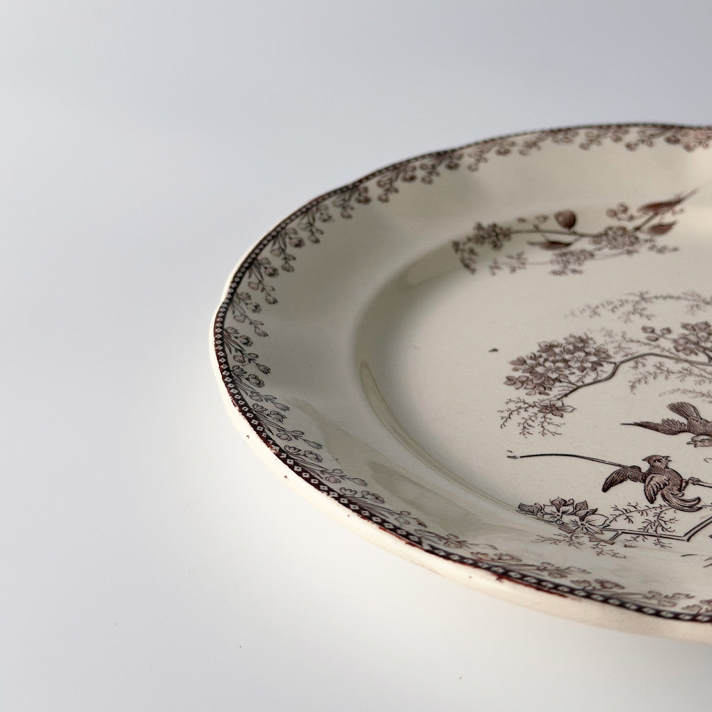 Oiseaux ペクソンヌ プレート｜ペクソンヌ PEXONNE – rocca rocca