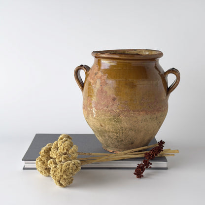 フランス製 アンティーク コンフィポット