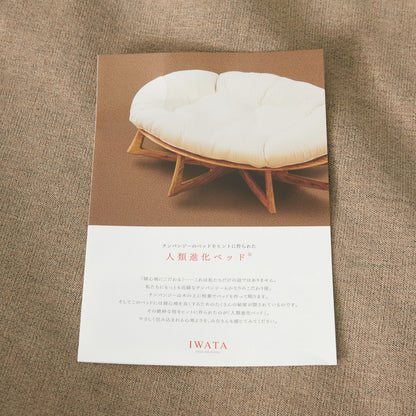 人類進化ベッド 02タイプ