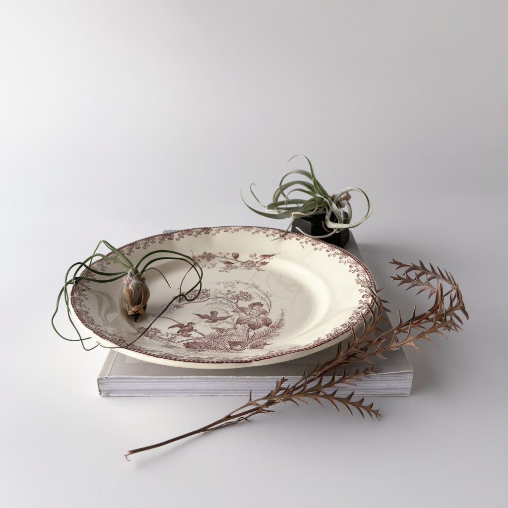 Oiseaux ペクソンヌ プレート