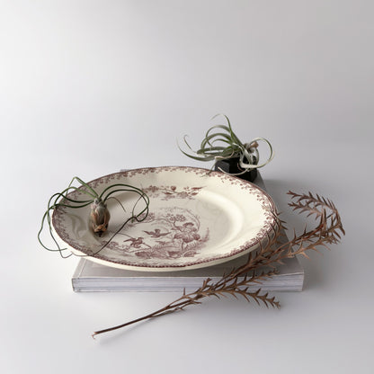 Oiseaux ペクソンヌ プレート