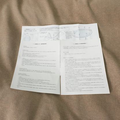 人類進化ベッド 02タイプ