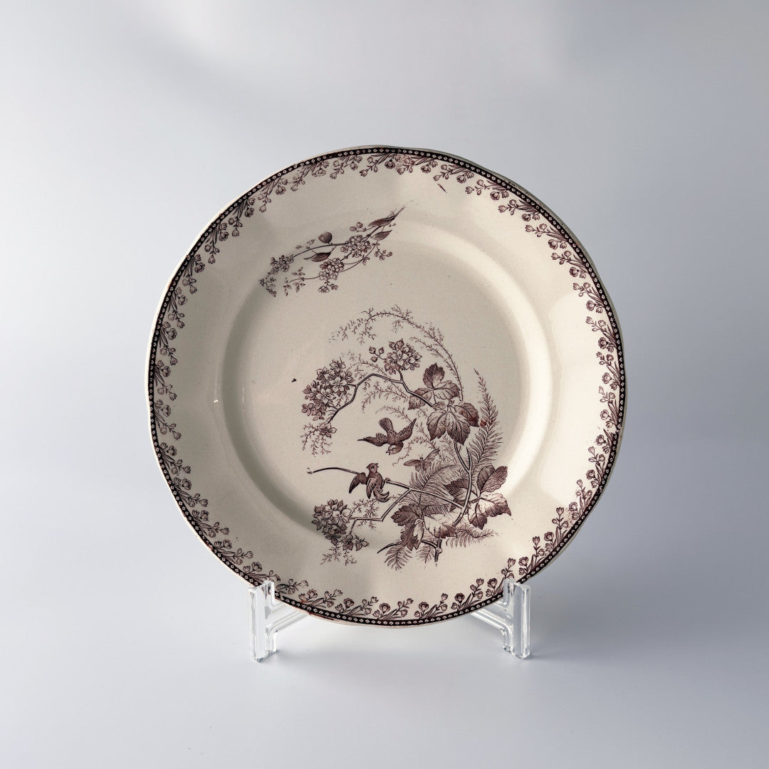 Oiseaux ペクソンヌ プレート
