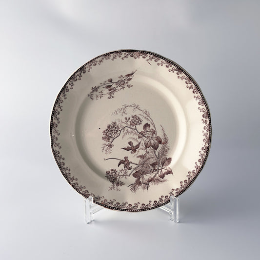 Oiseaux ペクソンヌ プレート