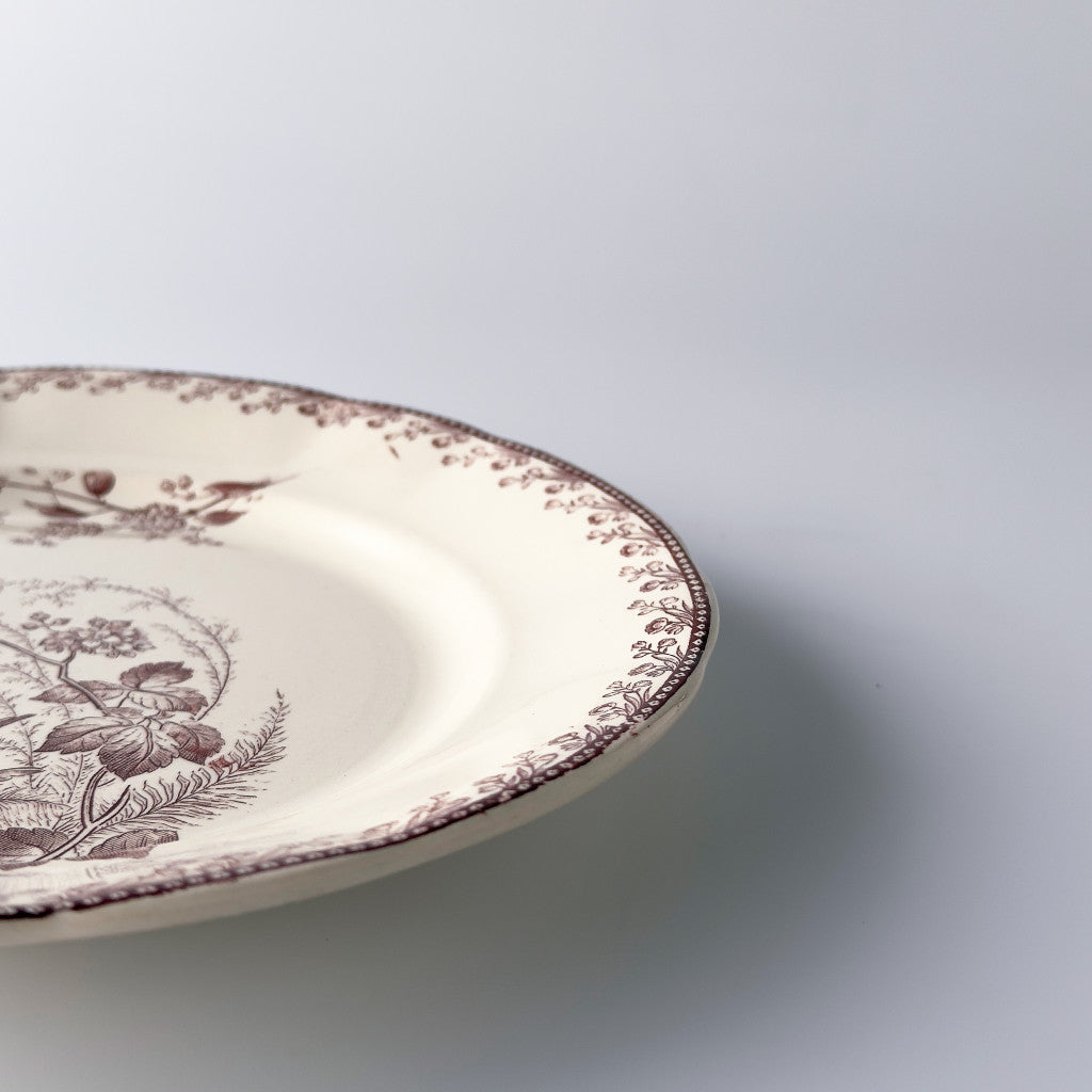 Oiseaux ペクソンヌ プレート