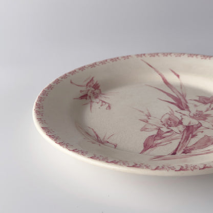 GLAIEUL グラジオラス プレート