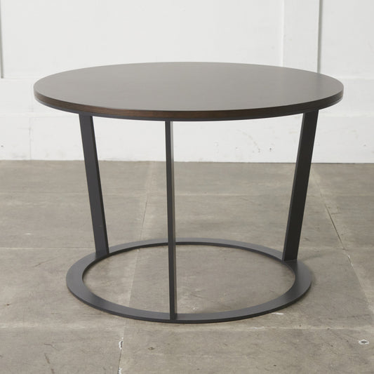 SLT528 カストール リビングテーブル