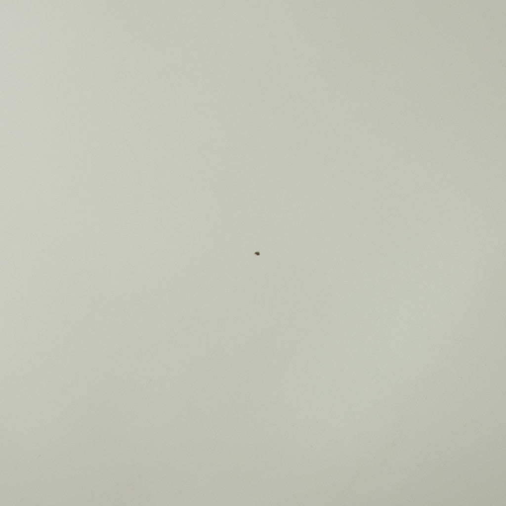 B-TABLE スーパー楕円テーブル B612