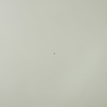 B-TABLE スーパー楕円テーブル B612