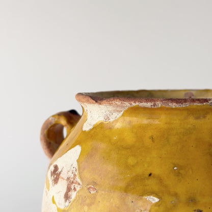 フランス製 アンティーク コンフィポット