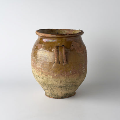 フランス製 アンティーク コンフィポット