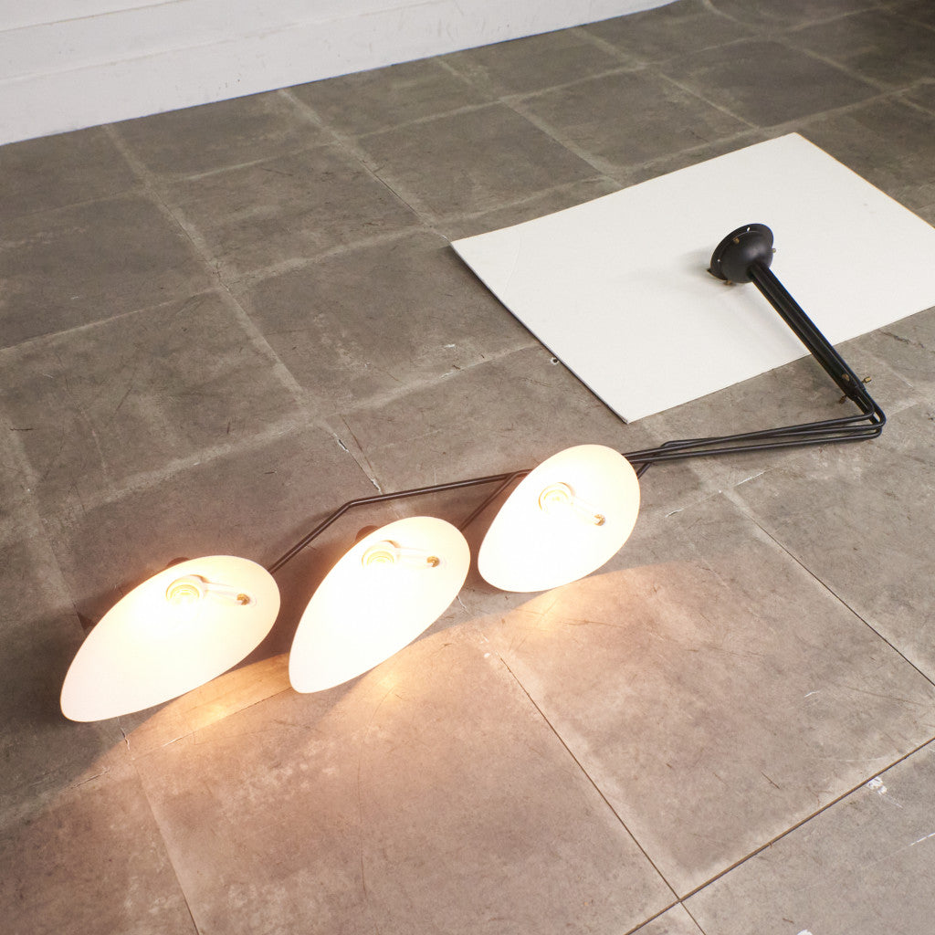 SUSPENSION 3 BRAS PIVOTANTS