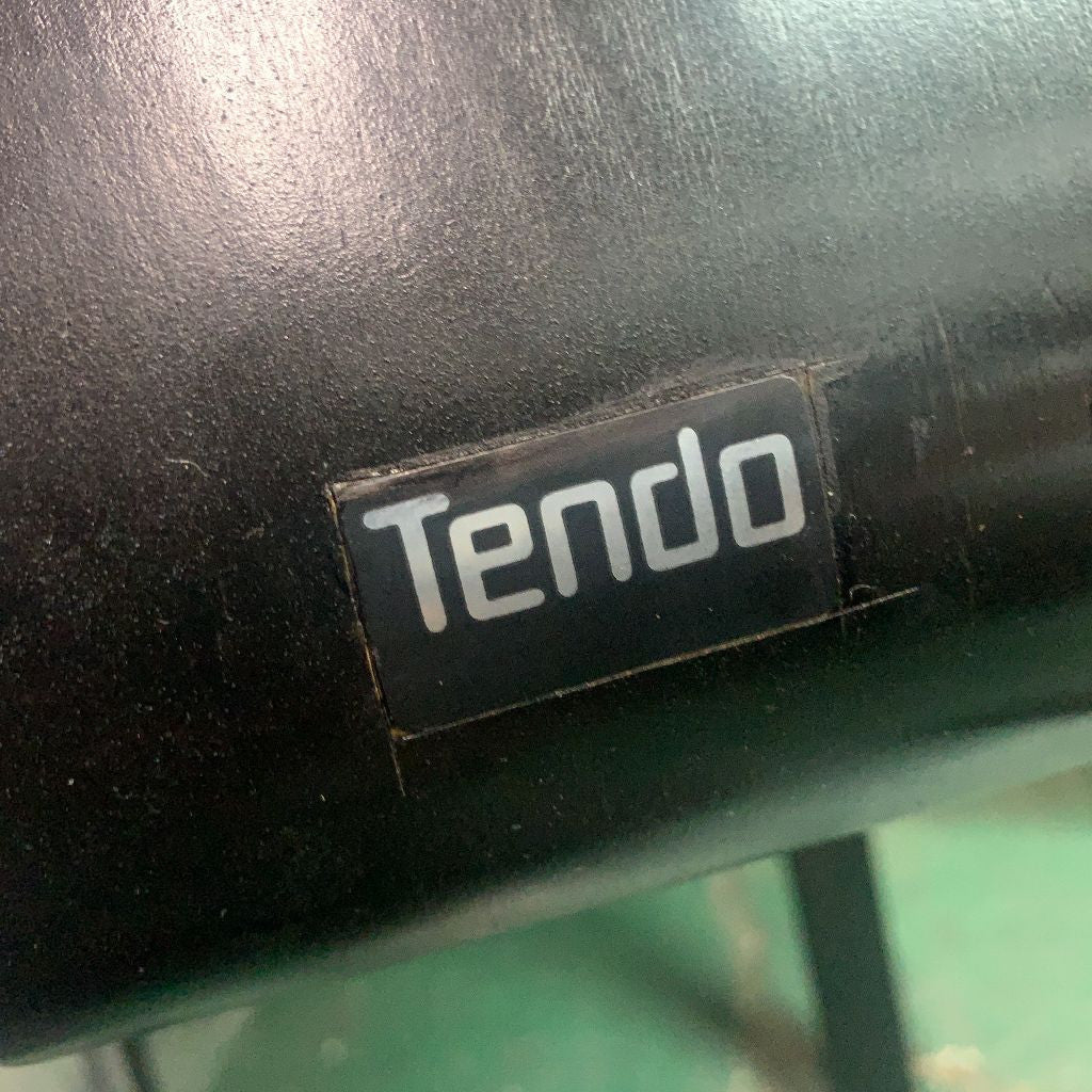 ペスカチェア / 張替済