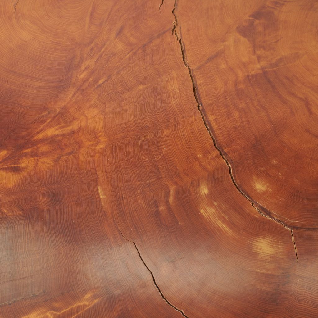 屋久杉 一枚板 座卓