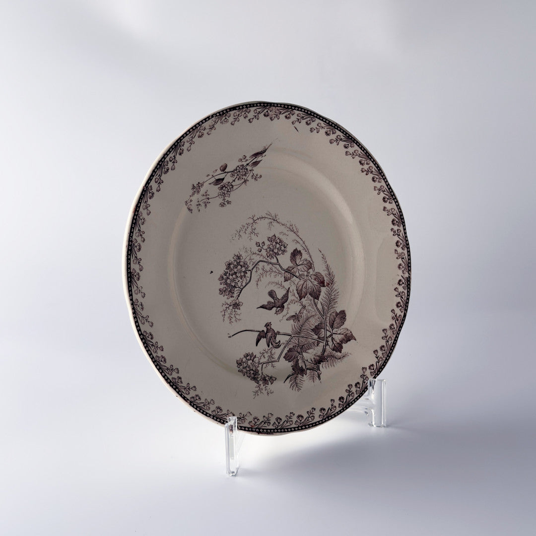 Oiseaux ペクソンヌ プレート｜ペクソンヌ PEXONNE – rocca rocca