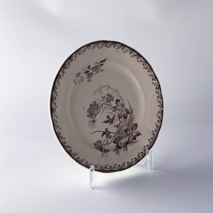 Oiseaux ペクソンヌ プレート